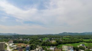 サプリの通販で偽物を見分ける方法は？