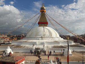 EPA DHAサプリの効果と口コミはどれほど信頼できるのか？