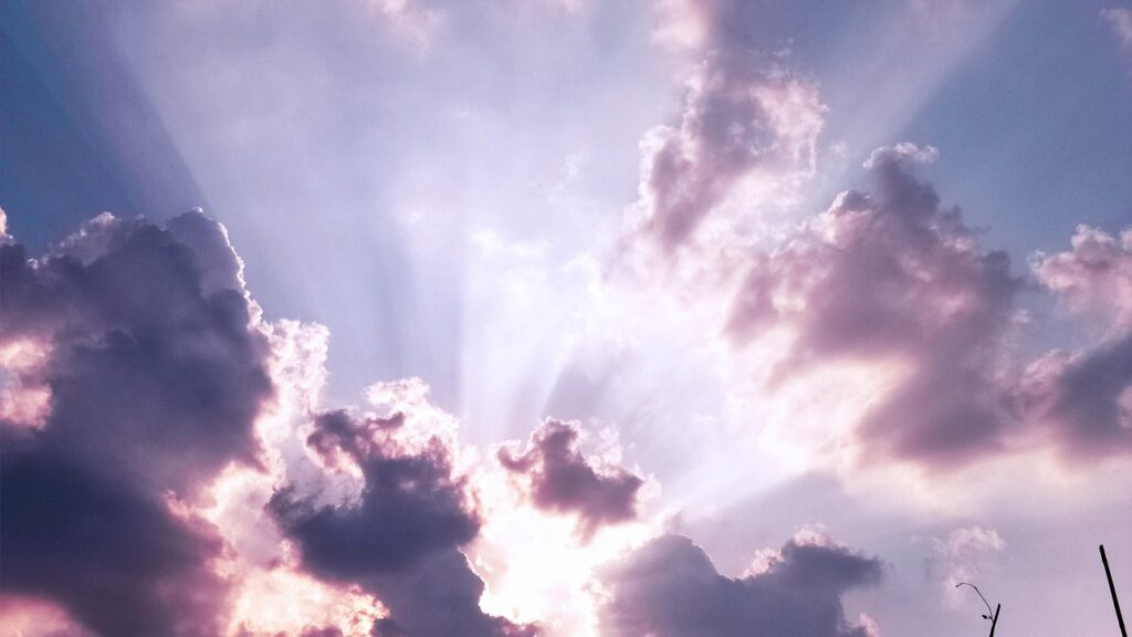 セラミドサプリの効果と口コミは本当に信頼できるのか？