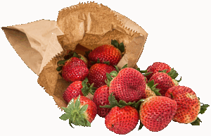 滋養強壮サプリの効果についての口コミはどうなっている？