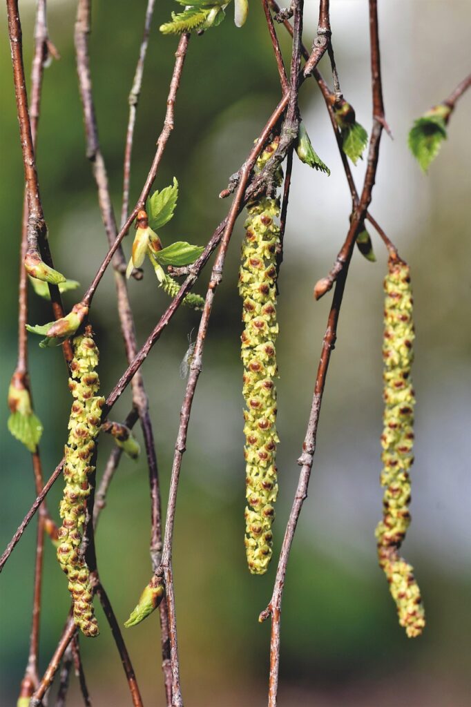 サプリを摂取する際に知っておくべきアレルギーへの注意点は？