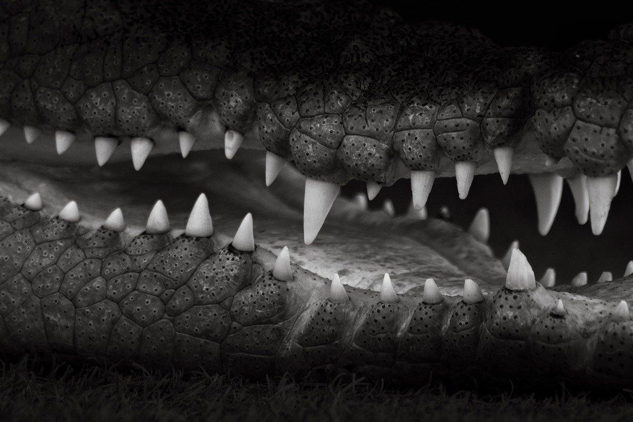 ローヤルゼリーサプリメントの危険性について知っておくべきことは？