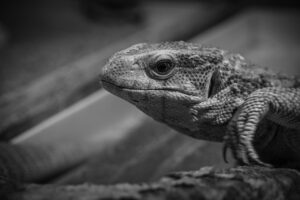 サプリを一旦お休みする期間の決め方は？