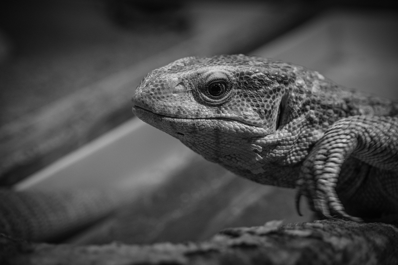 サプリを一旦お休みする期間の決め方は？