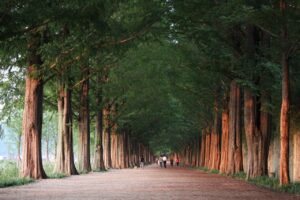 サプリの健康相談窓口に問い合わせるタイミングはいつがベスト？