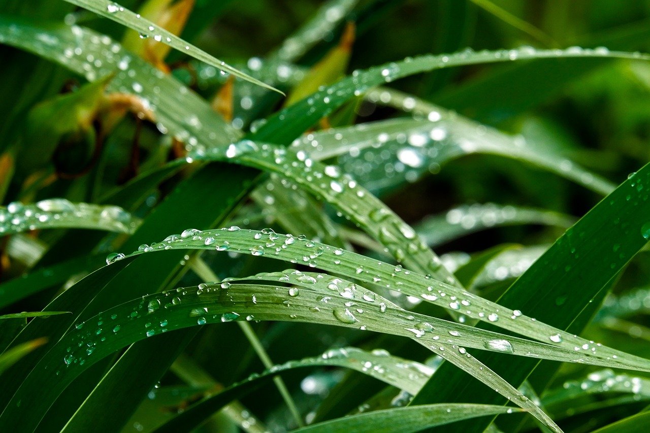 サプリを使った湿気対策としてできることは？