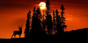 サプリを夜だけ飲む生活スタイルの見直し方法とは？