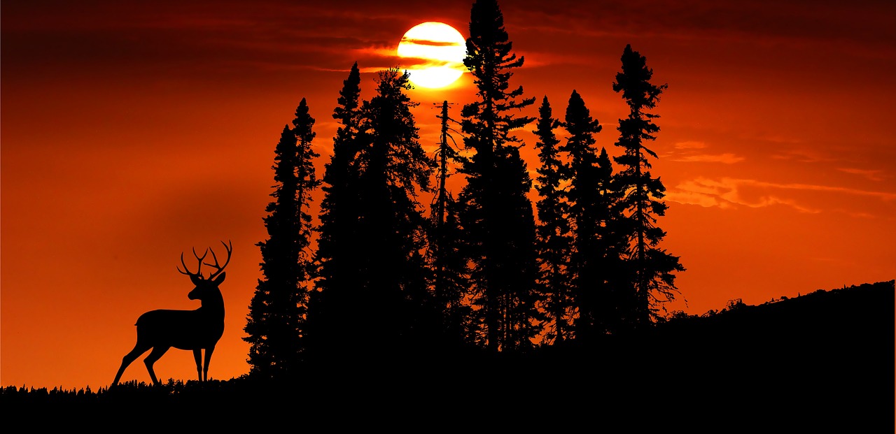 サプリを夜だけ飲む生活スタイルの見直し方法とは？