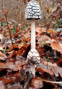 サプリを湿気の多い場所に保管しない理由とは？