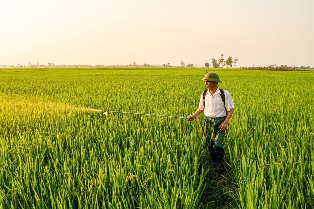 サプリ選びでネット情報と専門家の意見はどちらを優先するか？