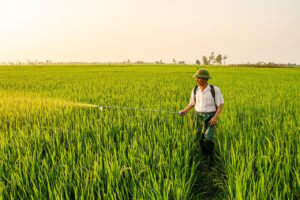 サプリ選びでネット情報と専門家の意見はどちらを優先するか？