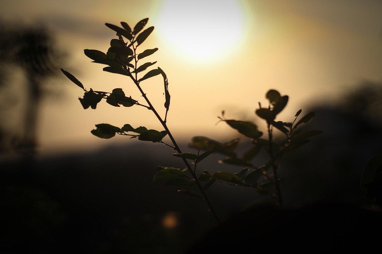 サプリを夜遅く飲む習慣は見直した方がいいか？