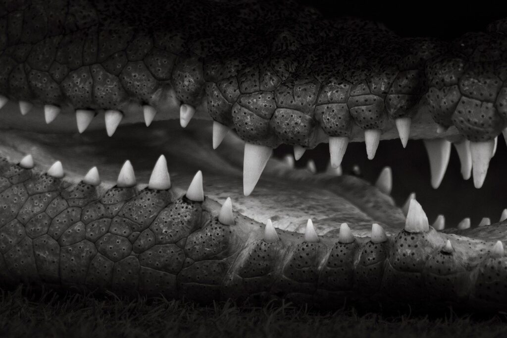 サプリメントランキングの危険性について知っておくべきことは？