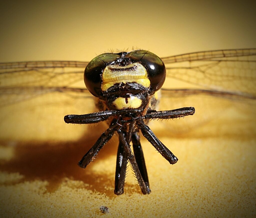 サプリを飲み続けていいか不安な方への解消法は？