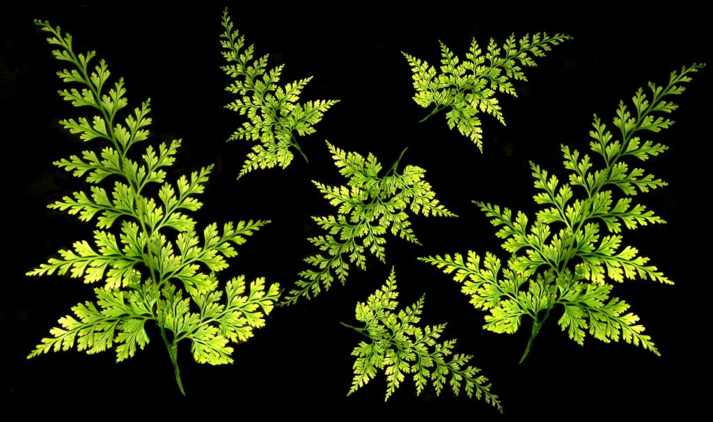 サプリメントを毎日飲まなくていい理由とは？